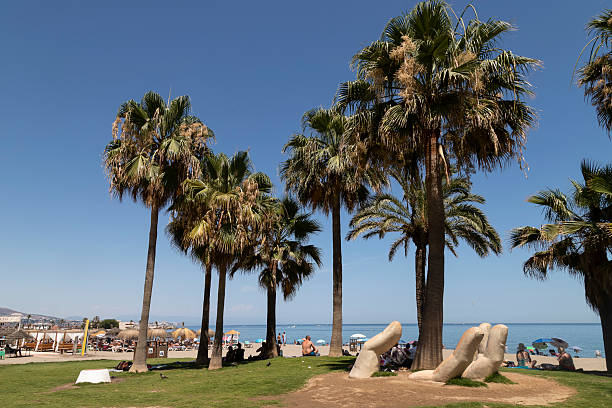 Fuengirola, Spain, July 1, 2025; Palm tree forest on the beach of Fuengirola in Spain.