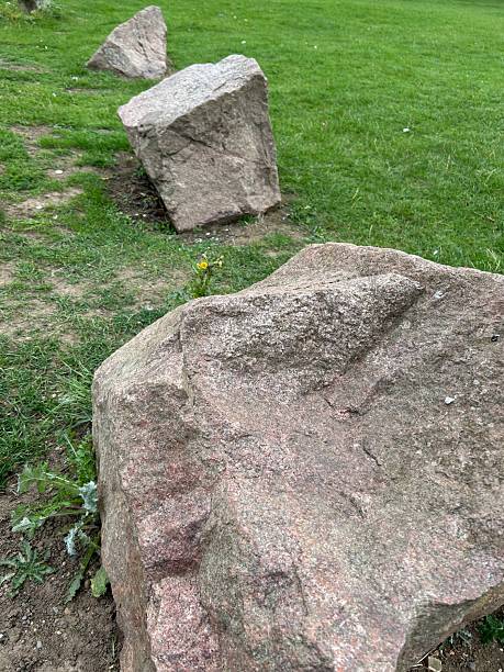 istock Large Rocks in Green Park With Small Yellow Flower Between Stones 2242052963