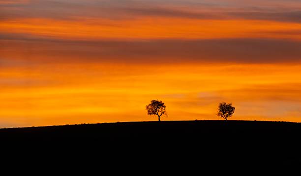 istock Sunrise in Diyarbakir 2242056538