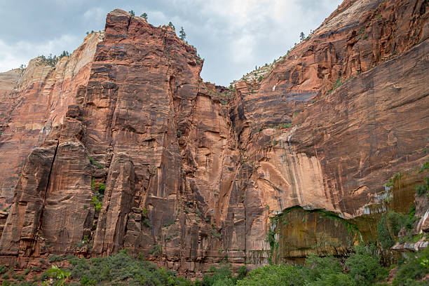 istock Zion National Park 2242057170