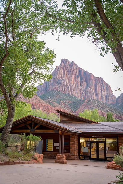 istock Zion National Park 2242057239