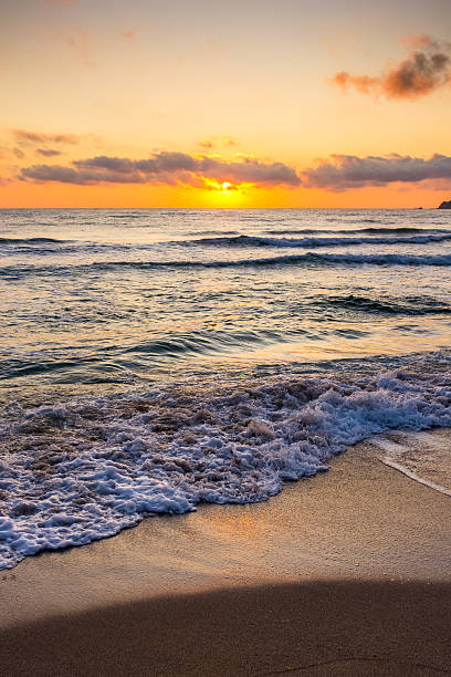 istock closeup of wave rolling on sandy shore at golden sunrise 2242059004