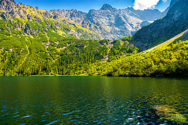 travel mountain landscape with lake in summer. green water of morskie oko in high tatra. beauty in nature park of poland. forest on the rocky slope. beautiful view of alpine pond on a sunny day