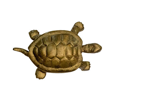 Brass turtle figurine isolated on white background, representing wisdom and a long life