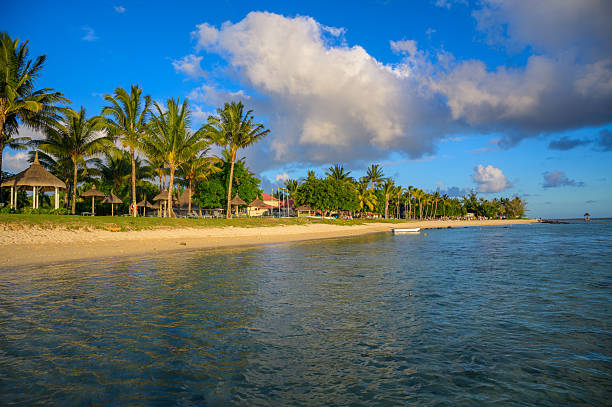 Scenic view of the beach with palm trees and tourist resorts in Bel Ombre, southern Mauritius.