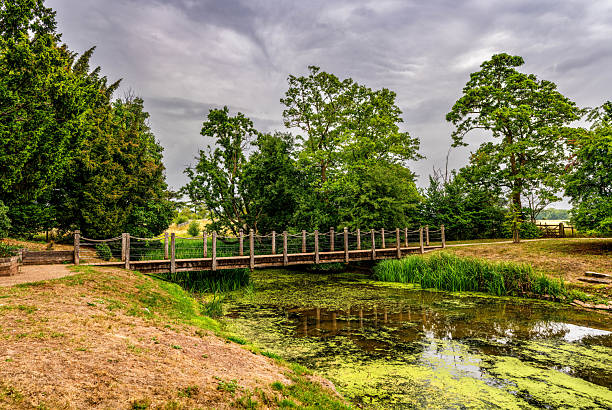 The River Ribble as it flows beneath a bridge near Clitheroe in Lancashire, England.