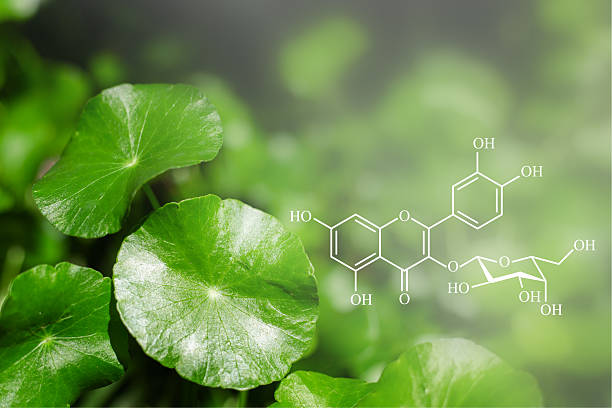 istock Close-up of fresh leaves with molecular structure illustration of flavonoid glycoside compound. 2242071513