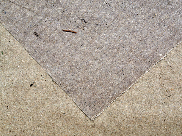 istock Textured Natural Fiber Paper Resting on a Stylish Concrete Background for Creative Projects 2242083164