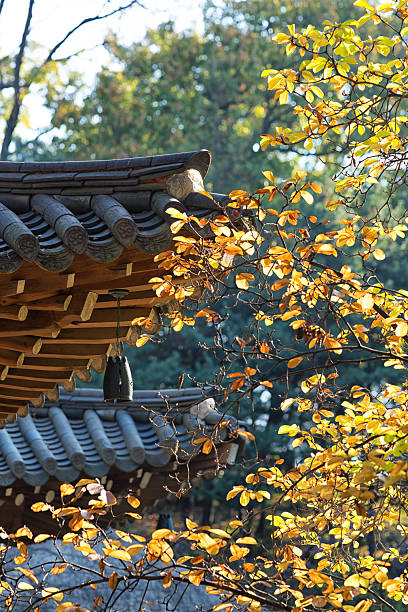 istock Beautiful Fall Sunshine in Seoul 2242084210