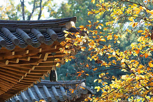Seoul Cheongwadae Korea
