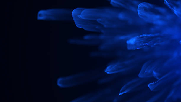 istock Abstract blue glass background. Realistic glowing crystal-like geometric structures forming a scientific, chemical, and cyber-inspired design. Perfect for digital art, technology visuals, futuristic b 2242085550