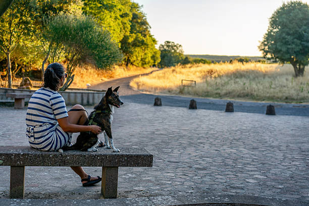 Moscow, Russia- July 4, 2021: Photography of Yorkshire Terrier, Dog resting with owner on the city street bench during coronavirus pandemic. Woman wearing protective face mask on chin. Animals theme