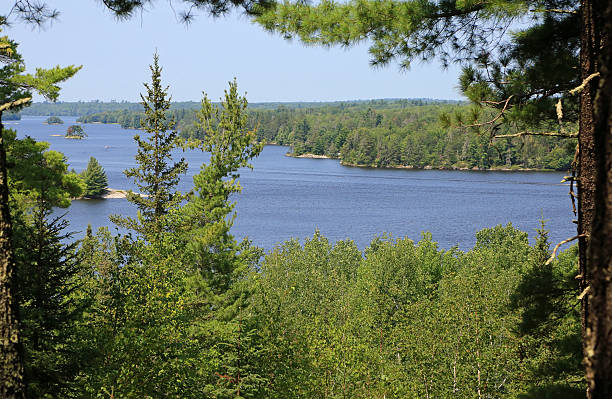 istock Forest around Kabetogama Lake 2242086883