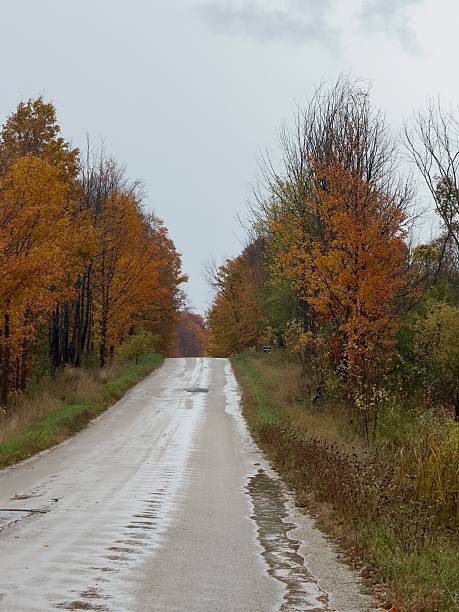 Autumn foliage along Pretty River Road outside of Collingwood on a rainy October day