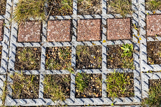 Grass and wild plants growing in open square blocks on the ground.  one row has reddish cement blocks in it