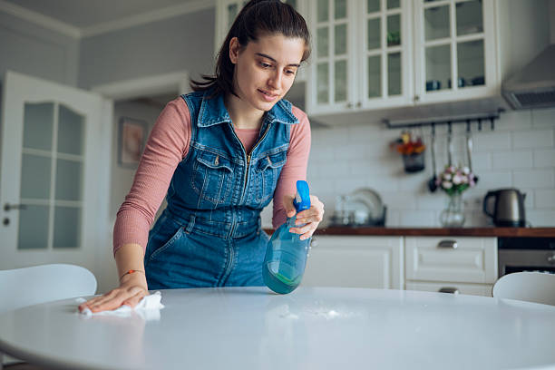 istock Woman cleaning table surface with cloth and spray bottle. 2242089977
