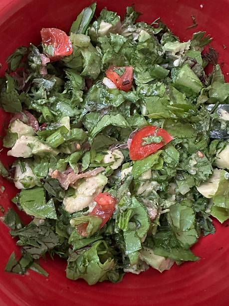 Fresh Green Salad of Hydroponically-Home-Grown Greens & Herbs in a Red Ceramic Bowl