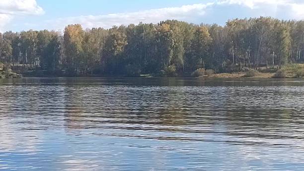 istock The shaky surface of a beautiful lake surrounded by a dense mixed forest under a cloudy sky on a sunny day in early autumn. 2242098428