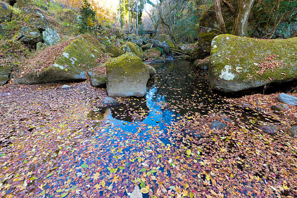 it is Autumn leaves in the valley (Bungo-Ono City, Oita Prefecture)