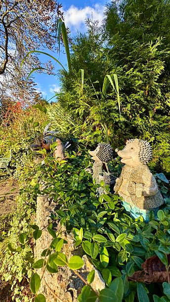 istock garden hedgehog figurines on the wall 2242103671