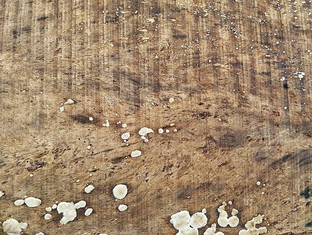 Textured full frame background. White concrete background.