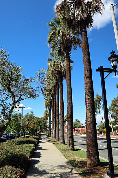 istock Bonita Avenue 2 2242108275