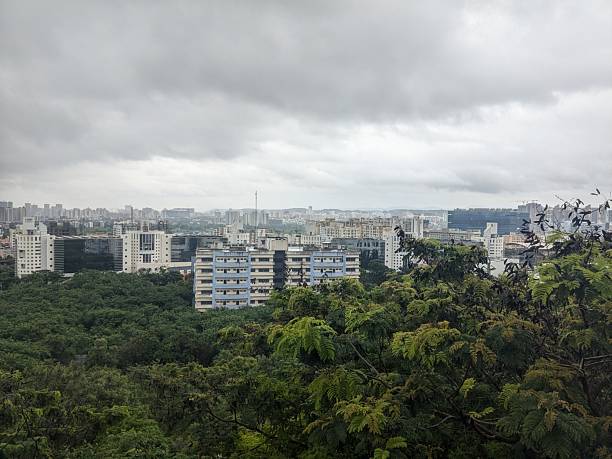 istock Overcast cityscape view from hilltop with dense green canopy 2242108880