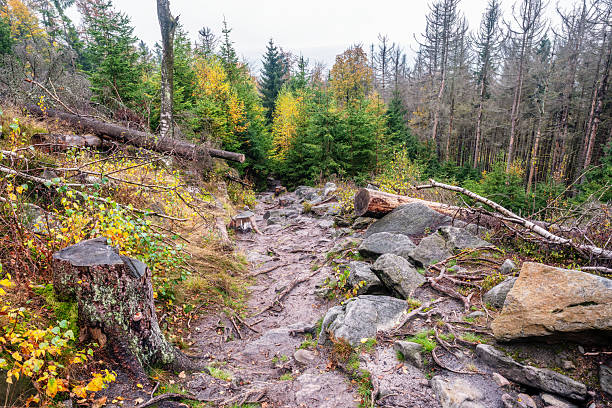 The Blue Trail to Errant Rocks. Table Mountains in the Lower Silesian Voivodeship in southern Poland.