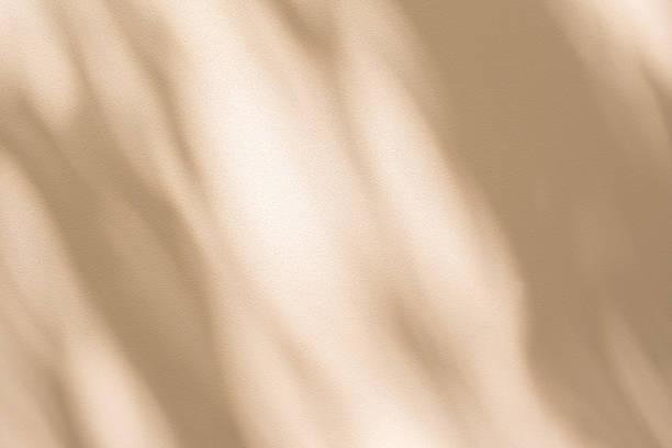 istock Studio style background wall decoration presentation uses white and beige tones. with shadows cast from a nearby window, concept creating a decorative 2242110865