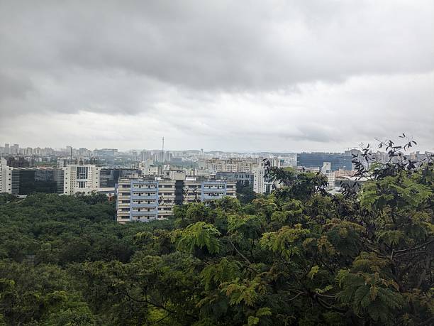 istock Overcast cityscape view from hilltop with dense green canopy 2242111430