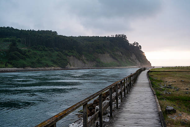 istock A wooden boardwalk runs along the shore of a river. 2242114368