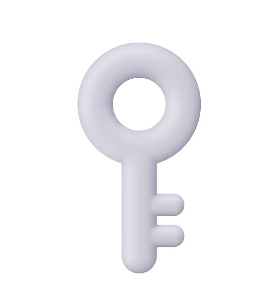istock Gray key. Protection, security, real estate, access and unlocking concept. 3d vector icon. Cartoon minimal style. 2242114999
