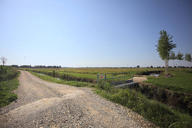 istock Dirt road on a sunny day 2242117662