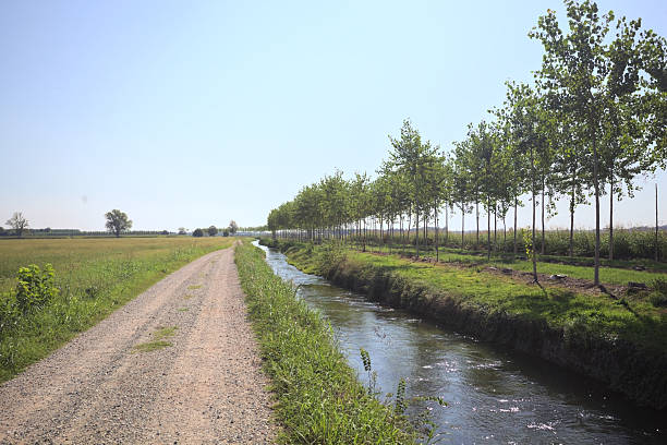 Dirt trail making a bend in the distance next to a meadow and bordered by a stream of water and a row of trees on a sunny day in the italian countryside