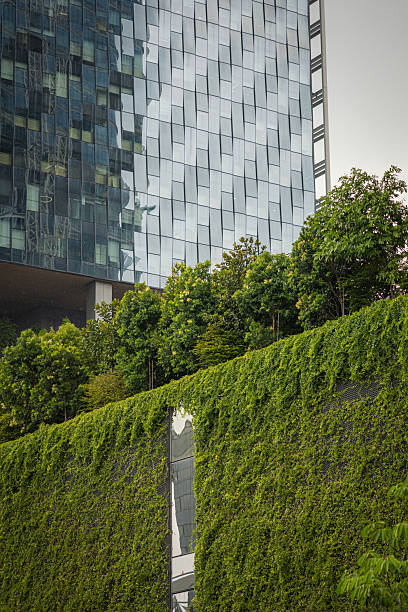 istock Green building, skyscraper with cloudy sky background in downtown. 2242118914