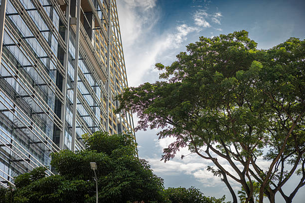 Singapore-16 DEC 2018:Singapore high density residential building HDB facade