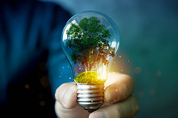 istock Green energy concept with tree growing inside light bulb symbolizing renewable power and eco future 2242120787