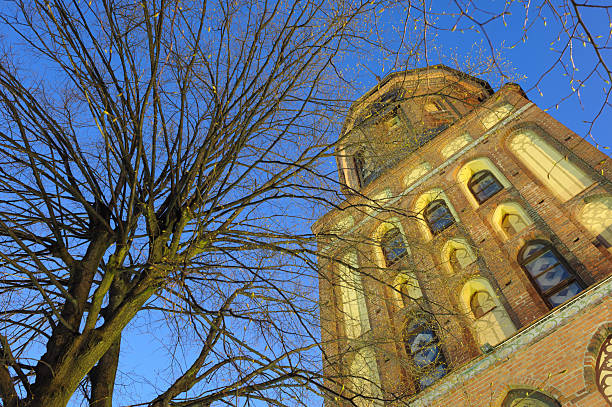 istock Historic building illuminated at dusk with tree branches from below 2242122940