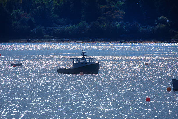 Canada Nova Scotia, Chester harbour