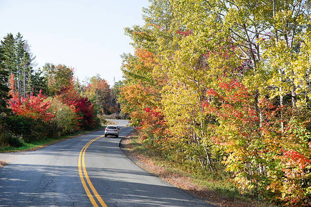 istock Autumn colours and country road 2242123895