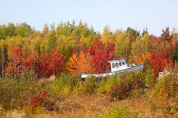 Canada Nova Scotia, Cape Breton  fishing boat in storage surrounded by fall colours