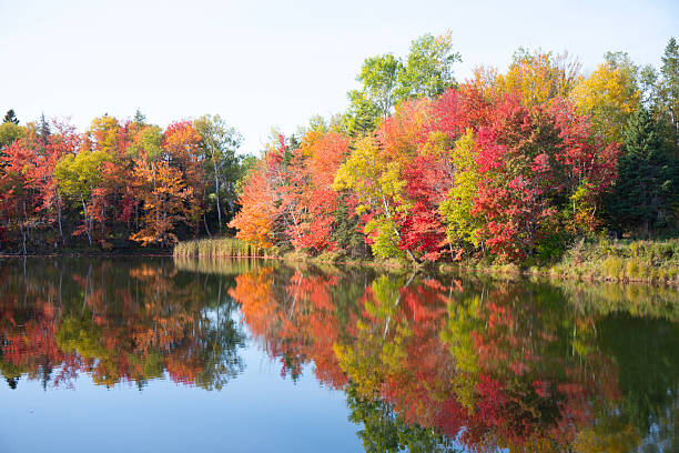 istock Autumn colours and reflection in water 2242123955