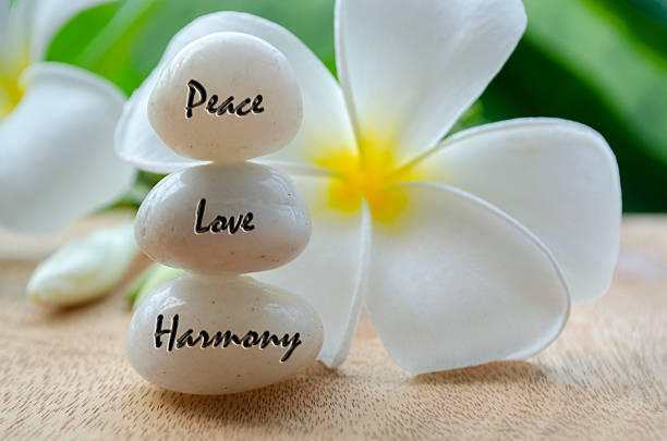 istock Peace, Love and Harmony text on white zen stones with beautiful white flower background. 2242124821