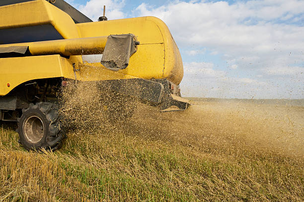 istock Agricultural Combine Harvester Processing Wheat Crop during Harvesting Season 2242126163