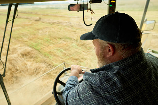 istock Middle Aged Caucasian Man Operating Combine Harvester in Wheat Field 2242128151