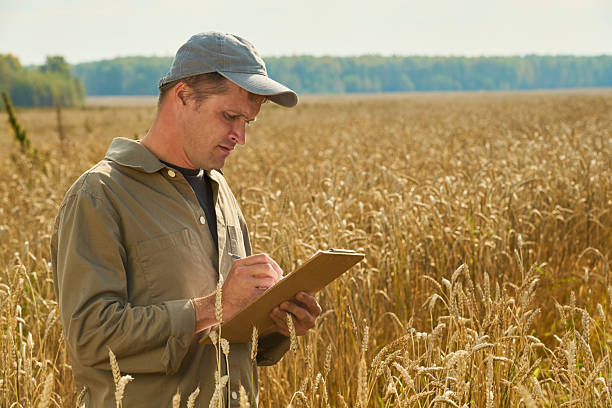 istock Young Man Inspecting Wheat Field and Writing on Clipboard 2242128394