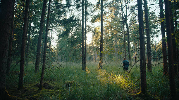 Man Running and Exercising Outdoors in a Quiet Forest with Tall Trees and Lush Green Grass while Sunbeams Filter through the Canopy During a Peaceful Sunset,Highlighting Healthy Lifestyle