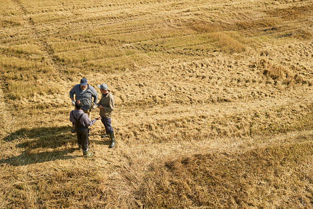 Three men standing in harvested field discussing work, wearing outdoor clothing and boots, positioned in circle, dry grass and crop stubble visible around