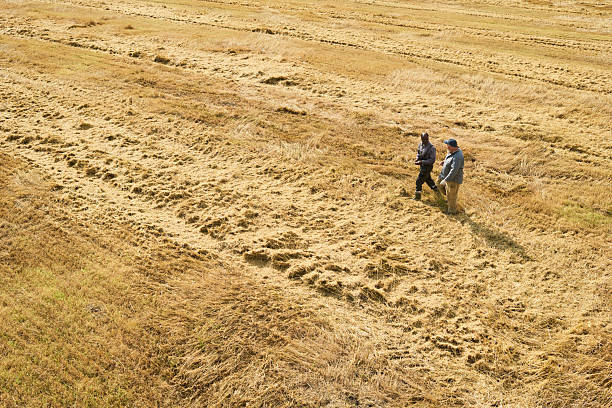 Two middle aged Caucasian men walking through harvested field, engaging in conversation while surveying farmland, dry grass and crop residue visible across expansive agricultural landscape