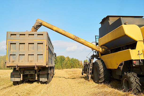 istock Combine Harvester Unloading Grain into Dump Truck during Harvesting Season 2242133467